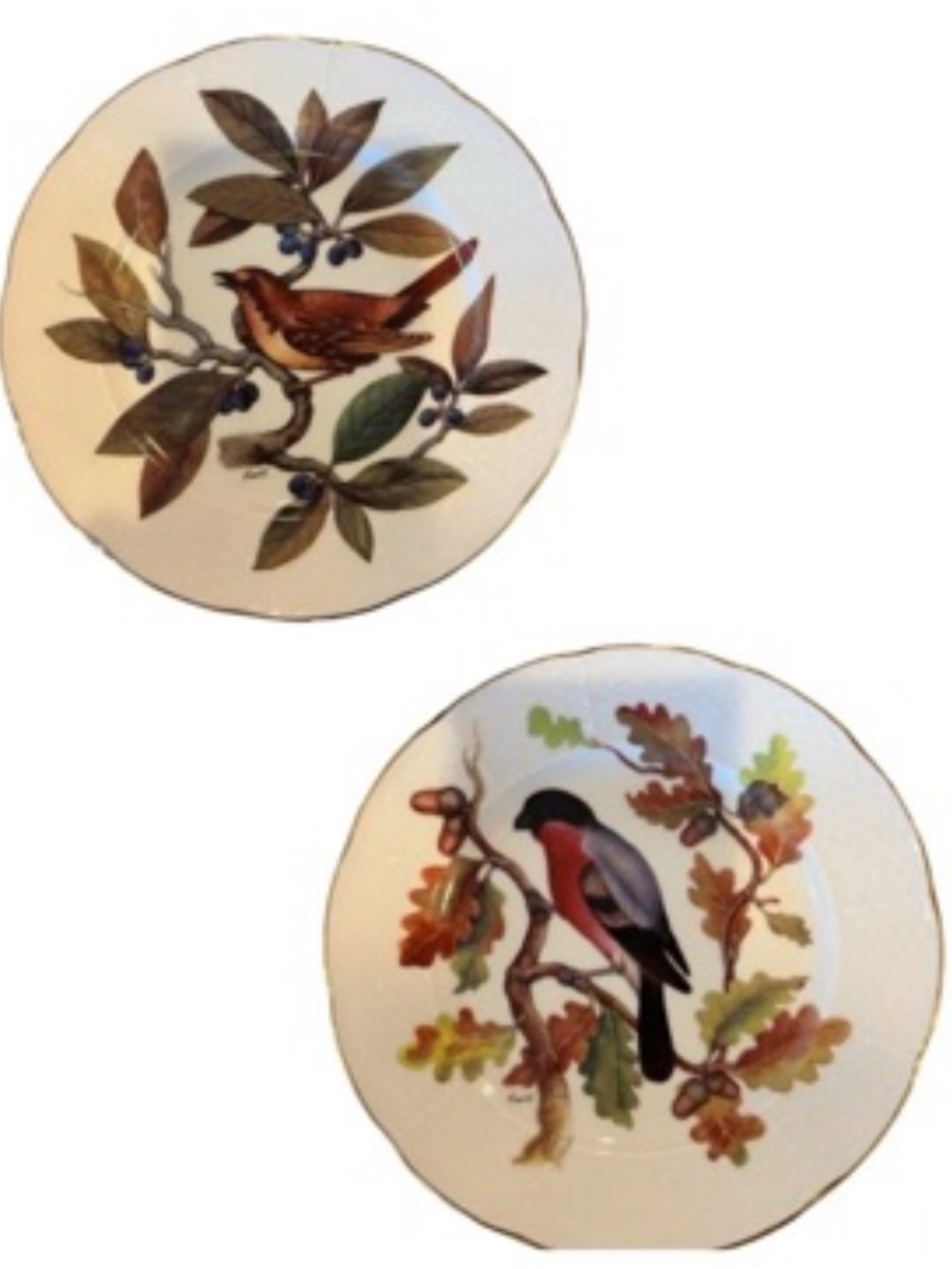 Email de Limoges 7” Plates Set of 2 Hand Painted Marino Godinger Birds EUC